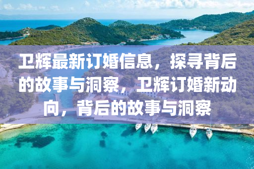 卫辉最新订婚信息,探寻背后的故事与洞察,卫辉订婚新动向,背后的故事与洞察中山市多米克自动化设备有限公司